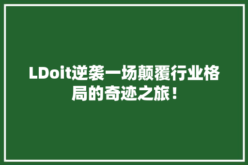 LDoit逆袭一场颠覆行业格局的奇迹之旅！