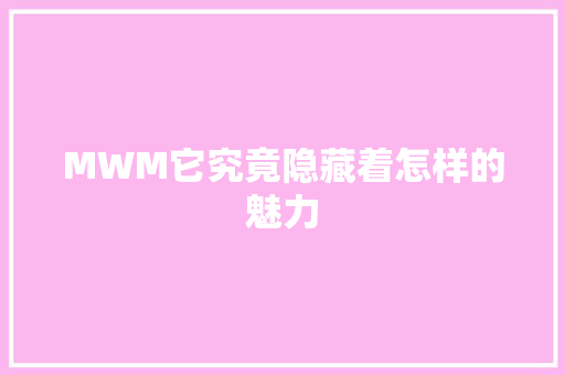 MWM它究竟隐藏着怎样的魅力