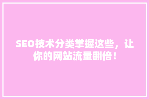 SEO技术分类掌握这些，让你的网站流量翻倍！ 项目报告