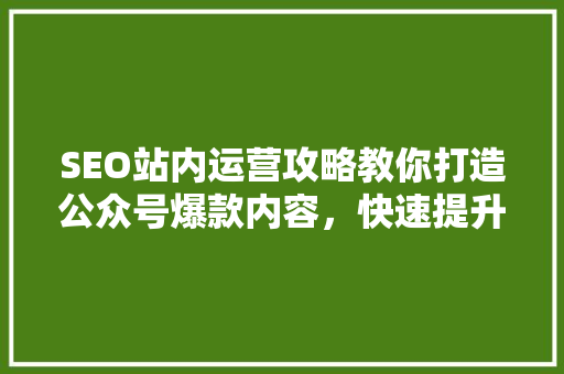 SEO站内运营攻略教你打造公众号爆款内容，快速提升流量！ 网站建设