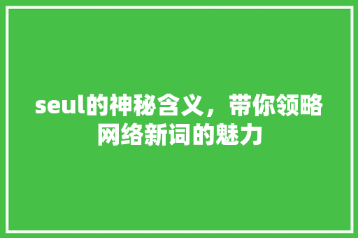 seul的神秘含义，带你领略网络新词的魅力