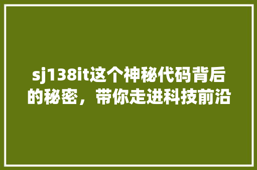 sj138it这个神秘代码背后的秘密，带你走进科技前沿！