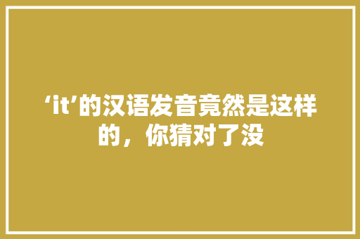 ‘it’的汉语发音竟然是这样的，你猜对了没