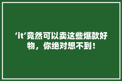 ‘it’竟然可以卖这些爆款好物，你绝对想不到！ 商务信函