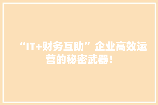 “IT+财务互助”企业高效运营的秘密武器！