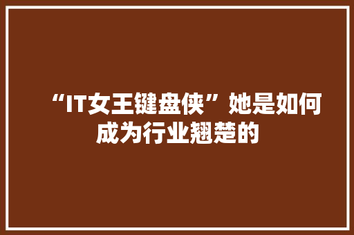 “IT女王键盘侠”她是如何成为行业翘楚的