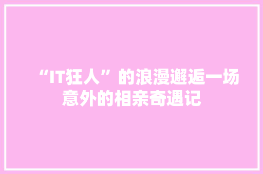 “IT狂人”的浪漫邂逅一场意外的相亲奇遇记