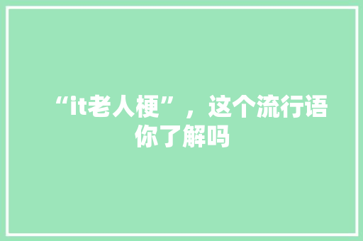 “it老人梗”，这个流行语你了解吗