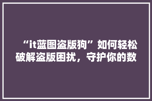 “it蓝图盗版狗”如何轻松破解盗版困扰，守护你的数字版权！