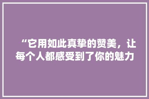 “它用如此真挚的赞美，让每个人都感受到了你的魅力！”_那些让人心动的夸奖用语！