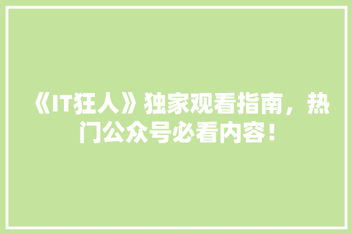 《IT狂人》独家观看指南，热门公众号必看内容！