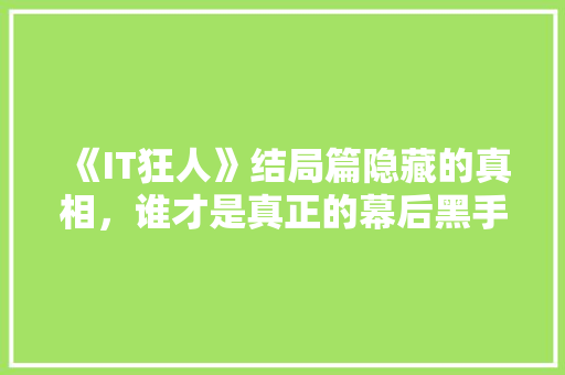 《IT狂人》结局篇隐藏的真相，谁才是真正的幕后黑手