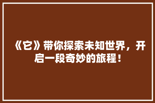 《它》带你探索未知世界，开启一段奇妙的旅程！ 网站建设