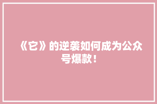 《它》的逆袭如何成为公众号爆款！ 项目报告