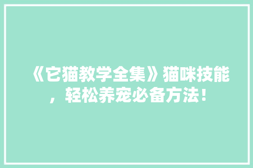 《它猫教学全集》猫咪技能，轻松养宠必备方法！