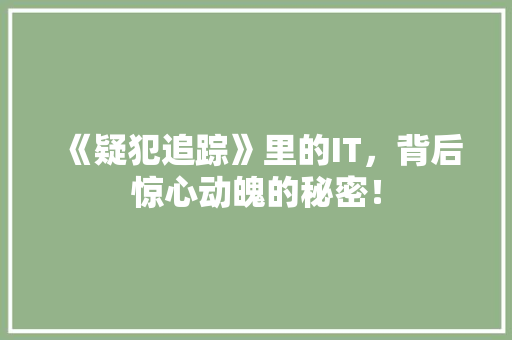 《疑犯追踪》里的IT，背后惊心动魄的秘密！