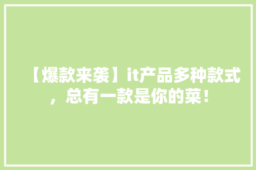 【爆款来袭】it产品多种款式，总有一款是你的菜！ 项目报告