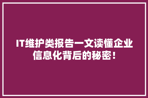 IT维护类报告一文读懂企业信息化背后的秘密！ 网站建设