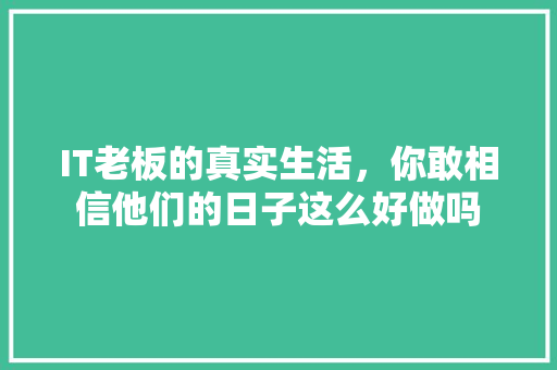 IT老板的真实生活，你敢相信他们的日子这么好做吗