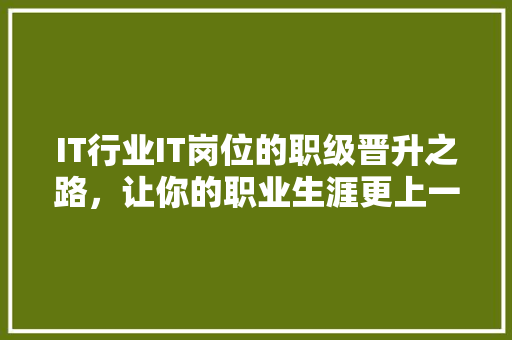 IT行业IT岗位的职级晋升之路，让你的职业生涯更上一层楼！