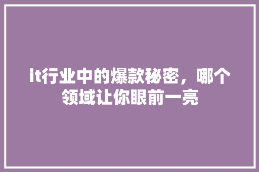 it行业中的爆款秘密，哪个领域让你眼前一亮 项目报告