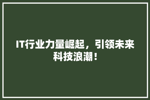 IT行业力量崛起，引领未来科技浪潮！ 网站建设