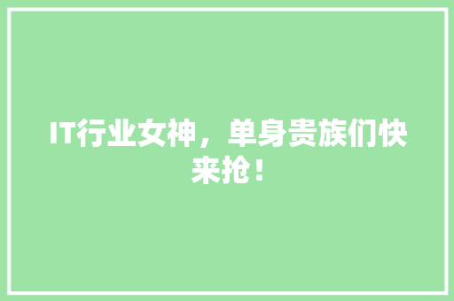 IT行业女神，单身贵族们快来抢！