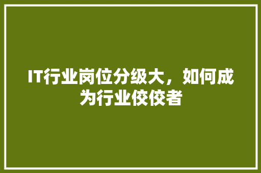 IT行业岗位分级大，如何成为行业佼佼者