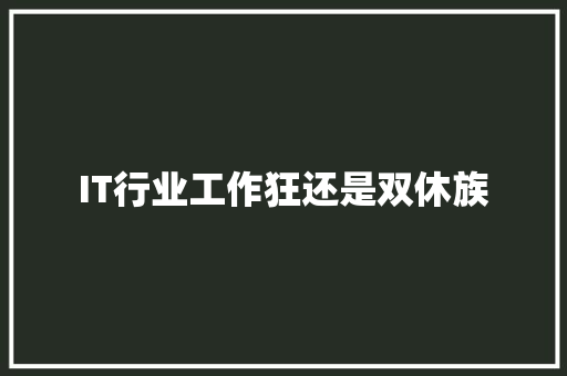 IT行业工作狂还是双休族
