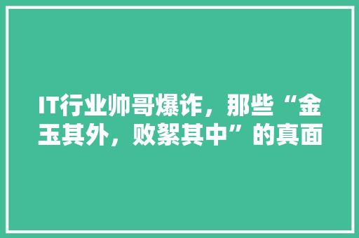 IT行业帅哥爆诈，那些“金玉其外，败絮其中”的真面目！
