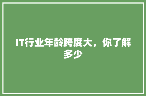 IT行业年龄跨度大，你了解多少 项目报告