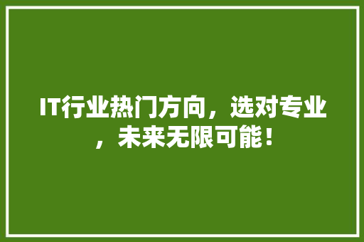 IT行业热门方向，选对专业，未来无限可能！ 前端技术