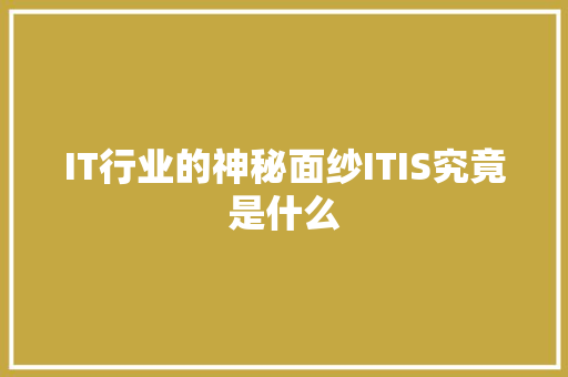 IT行业的神秘面纱ITIS究竟是什么