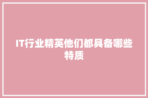 IT行业精英他们都具备哪些特质 网站建设
