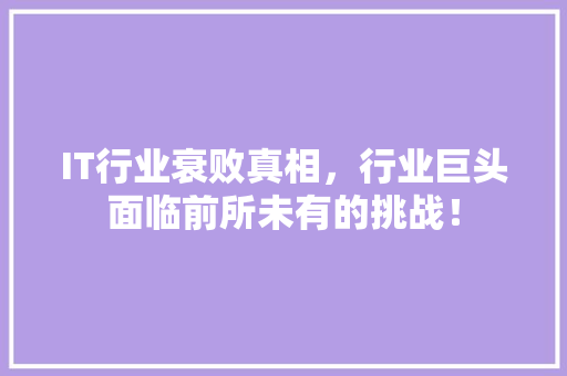 IT行业衰败真相，行业巨头面临前所未有的挑战！