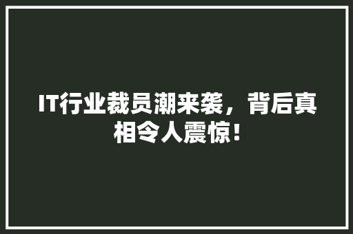 IT行业裁员潮来袭，背后真相令人震惊！