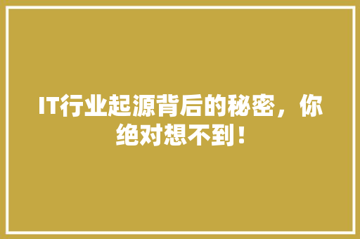 IT行业起源背后的秘密，你绝对想不到！ 项目报告