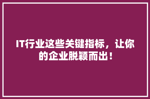 IT行业这些关键指标，让你的企业脱颖而出！