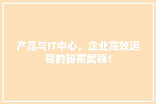 产品与IT中心，企业高效运营的秘密武器！ 项目报告