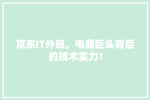 京东IT外包，电商巨头背后的技术实力！