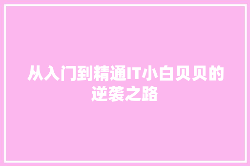 从入门到精通IT小白贝贝的逆袭之路