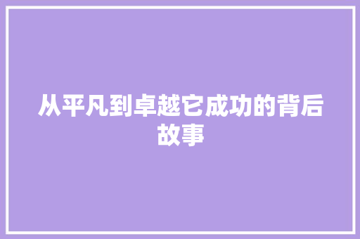 从平凡到卓越它成功的背后故事