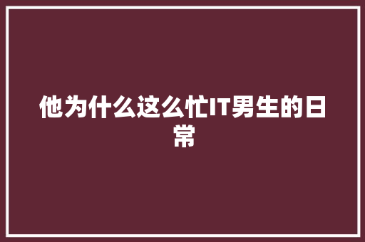 他为什么这么忙IT男生的日常