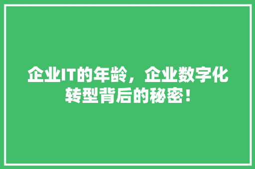 企业IT的年龄，企业数字化转型背后的秘密！ 后端技术