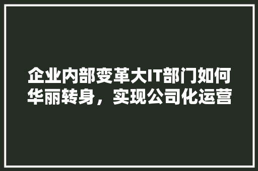 企业内部变革大IT部门如何华丽转身，实现公司化运营 缓存Redis