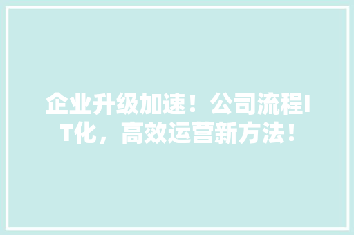 企业升级加速！公司流程IT化，高效运营新方法！