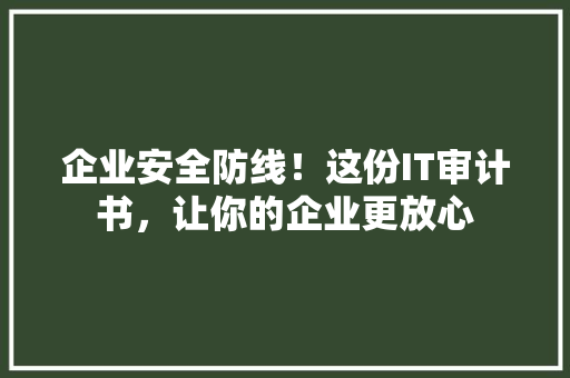企业安全防线！这份IT审计书，让你的企业更放心