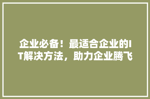 企业必备！最适合企业的IT解决方法，助力企业腾飞！ 市场营销范文