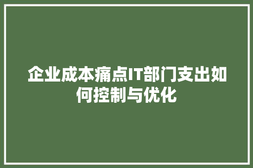 企业成本痛点IT部门支出如何控制与优化