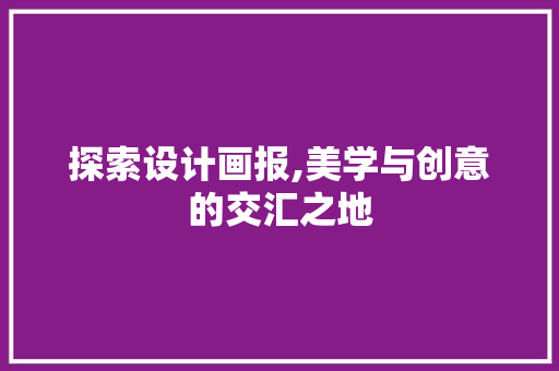 探索设计画报,美学与创意的交汇之地